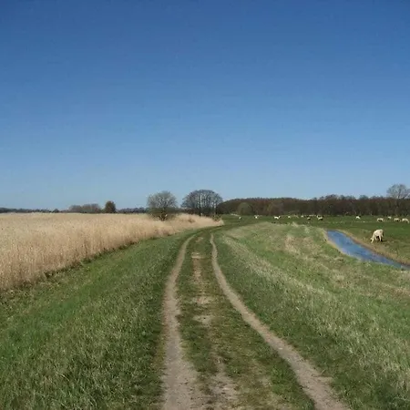 Modern Times Comfortable Spot Zinnowitz