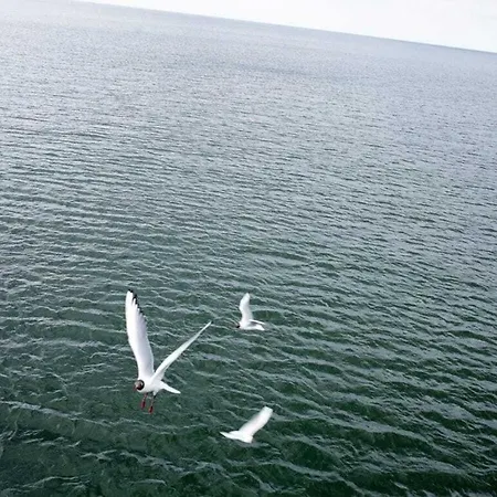 Modern Times Comfortable Spot Βίλα *